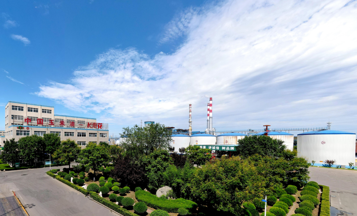 喜訊！長壽花食品獲評(píng)2022年度“最具品牌影響力”企業(yè)