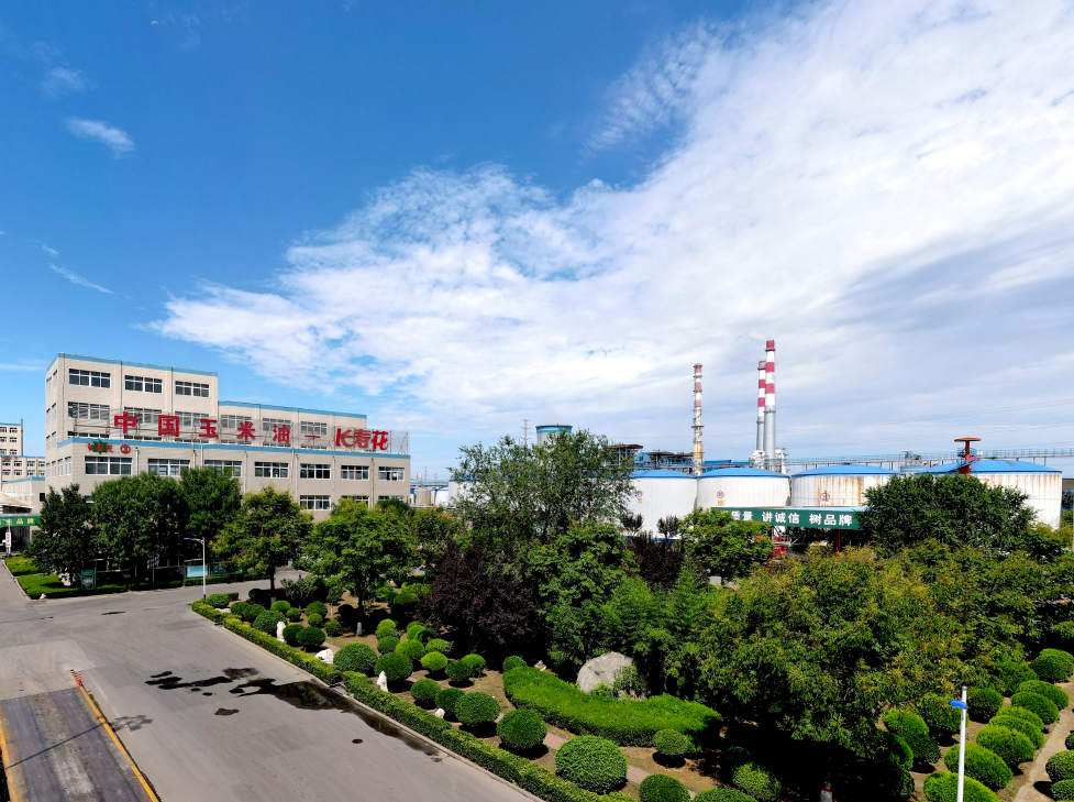 這些屬于長(zhǎng)壽花的關(guān)鍵詞標(biāo)簽，你了解嗎