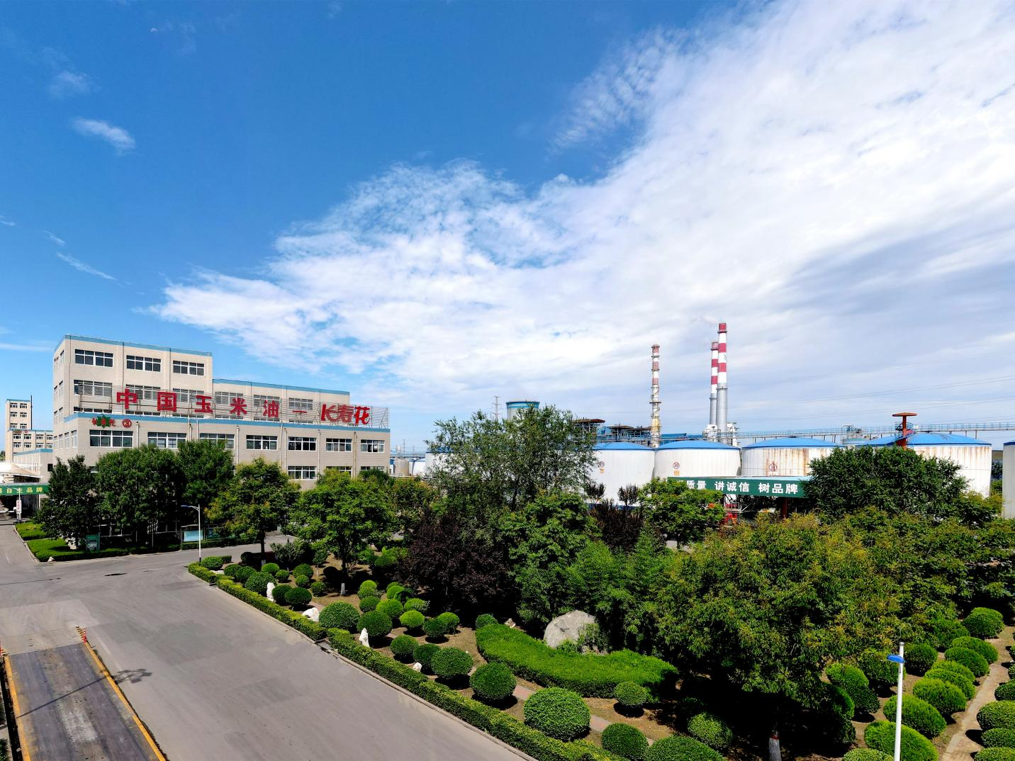 祝賀！長壽花食品榮獲中國農(nóng)業(yè)科學(xué)院杰出科技創(chuàng)新獎(jiǎng)