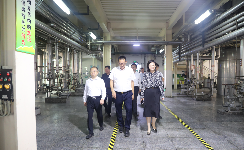 山東省政協(xié)黨組成員、副主席張新文來山東三星集團調研