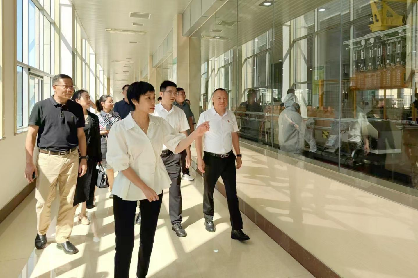 桐廬縣委副書記、縣長張蕙娜到桐廬玉米產業(yè)公司走訪調研