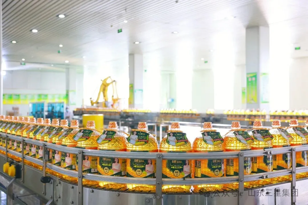 山東三星集團(tuán)六個項目入選2025年山東?。ǖ谝慌┢髽I(yè)技術(shù)創(chuàng)新項目計劃