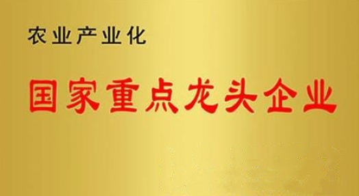 國家重點(diǎn)龍頭企業(yè)！山東三星集團(tuán)連續(xù)上榜