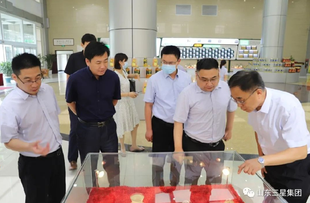 省委“四進”工作組來山東三星集團調研督導